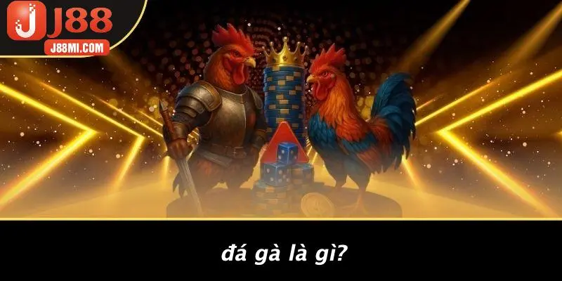 Đá Gà Là Gì?