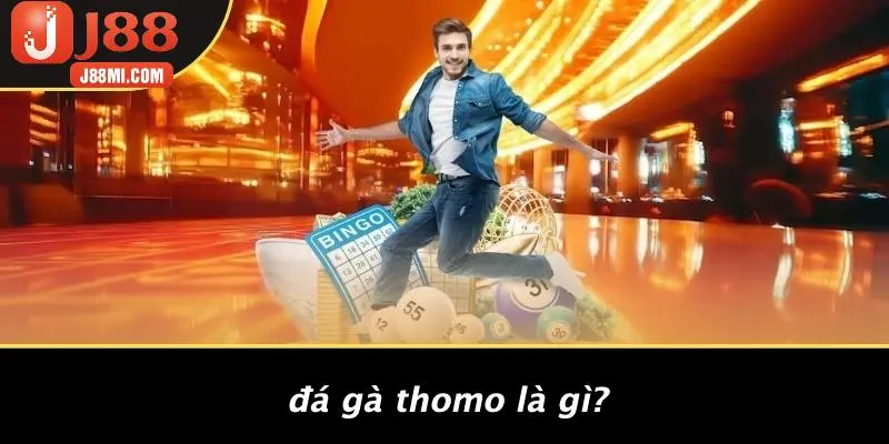 Đá Gà Thomo Là Gì?