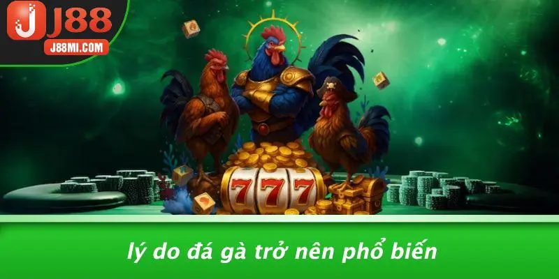 Lý Do Đá Gà Trở Nên Phổ Biến