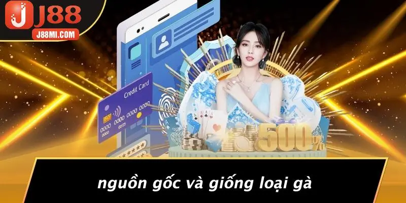 Nguồn Gốc Và Giống Loại Gà