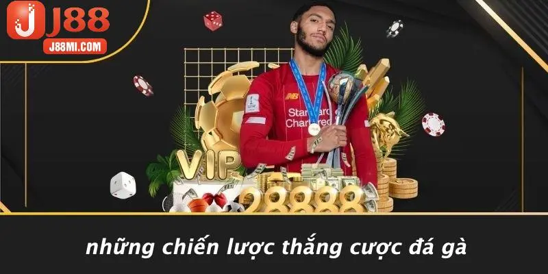 Những Chiến Lược Thắng Cược Đá Gà