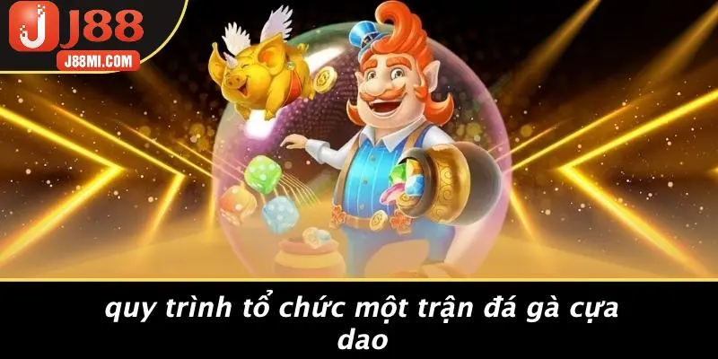 Quy Trình Tổ Chức Một Trận Đá Gà Cựa Dao