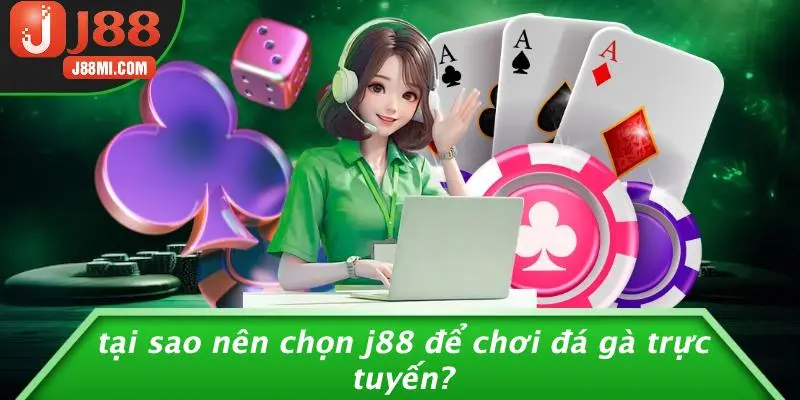 Tại Sao Nên Chọn J88 Để Chơi Đá Gà Trực Tuyến?